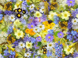 Chiropractor Orem flowers